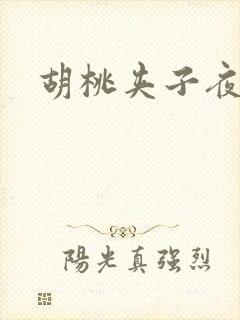 胡桃夹子夜未眠