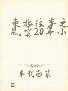 东北往事之黑道风云20年小说