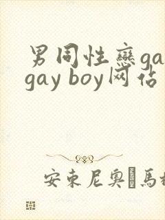男同性恋gaygay boy网站