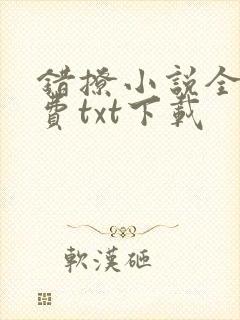 错撩小说全文免费txt下载