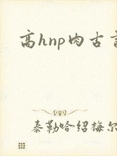 高hnp肉古言