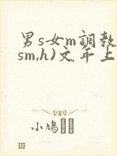 男s女m调教(sm,h)文年上