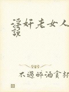 淫奸老女人的小说封面