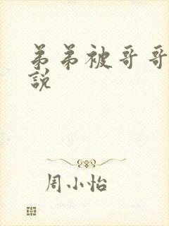 弟弟被哥哥打小说