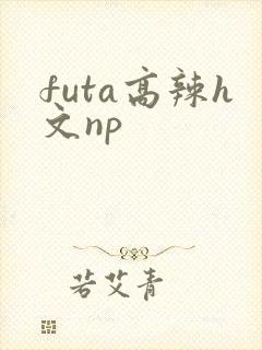 futa高辣h文np