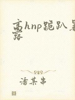 高hnp跪趴暴露