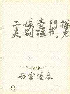 二嫁豪门总裁前夫别碰我免费阅读