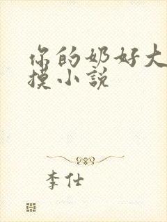 你的奶好大好想摸小说