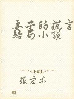 妻子的谎言程心结局小说