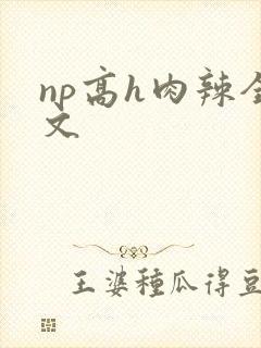 np高h肉辣全文封面