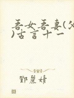 吾女吾妻(父女)古言十一