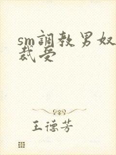 sm调教男奴总裁受