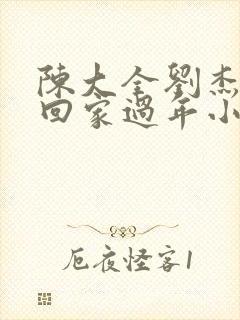 陈大全刘杰李露回家过年小说