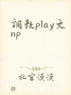 调教play文np