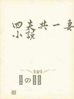 四夫共一妻穿越小说