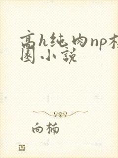 高h纯肉np校园小说封面