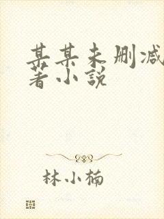 某某未删减版原著小说