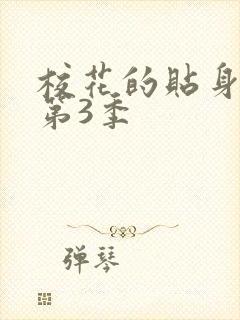 校花的贴身高手第3季