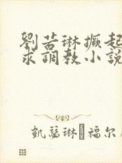 刘若琳撅起屁股求调教小说封面