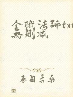 全职法师txt无删减