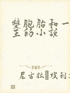 双胞胎和一个女主的小说