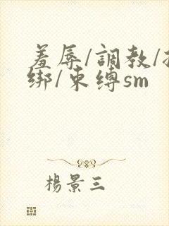 羞辱/调教/捆绑/束缚sm