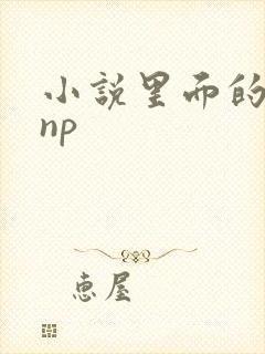 小说里面的高hnp