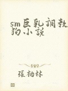 sm巨乳调教母狗小说