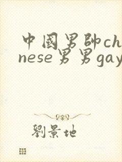 中国男帅chinese男男gaygay网站