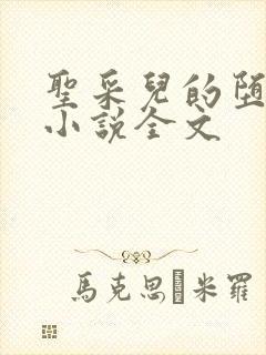 圣采儿的堕落 小说全文