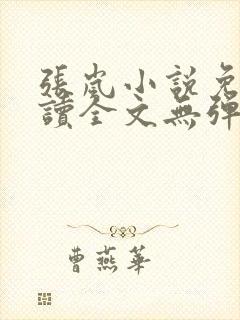 张岚小说免费阅读全文无弹窗