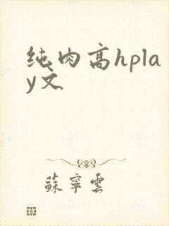 纯肉高hplay文封面