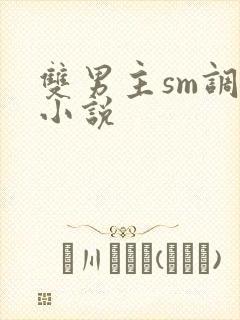 双男主sm调教小说