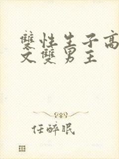 双性生子高辣h文双男主