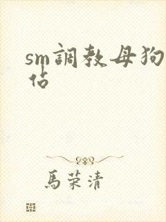 sm调教母狗网站封面