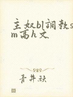 主奴bl调教sm高h文