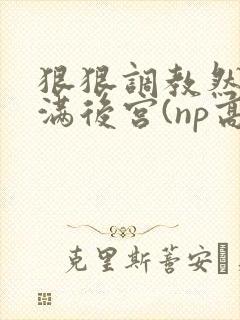 狠狠调教然后填满后宫(np高h)封面