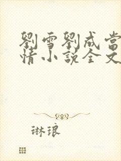 刘雪刘成当代爱情小说全文免费笔趣阁
