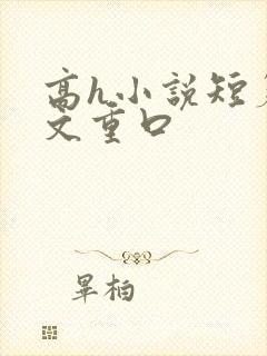高h小说短篇辣文重口