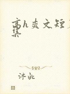 高h爽文短篇合集封面