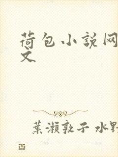 荷包小说网高辣文封面