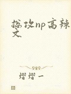 总攻np高辣h文