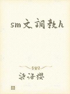 sm文调教h封面