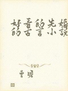 好看的先婚后爱的古言小说