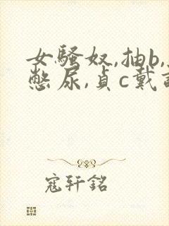 女骚奴,抽b,憋尿,贞c戴调教的小说