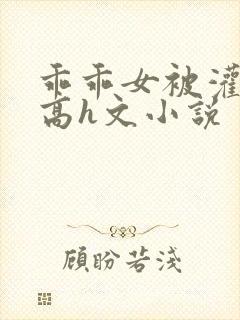 乖乖女被灌满精高h文小说