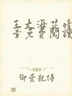 王大海芷晴30章免费阅读二十二章