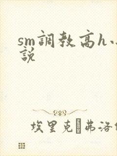 sm调教高h小说