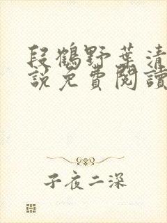 段鹤野叶清璃小说免费阅读最新章节