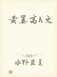 黄暴高h文封面